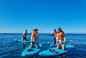 From Faro Adventure at Benagil Cave by 9' Paddle Board