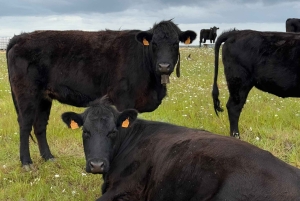 Motorcykeltur 4: Guadiana og Ribeira da Foupana