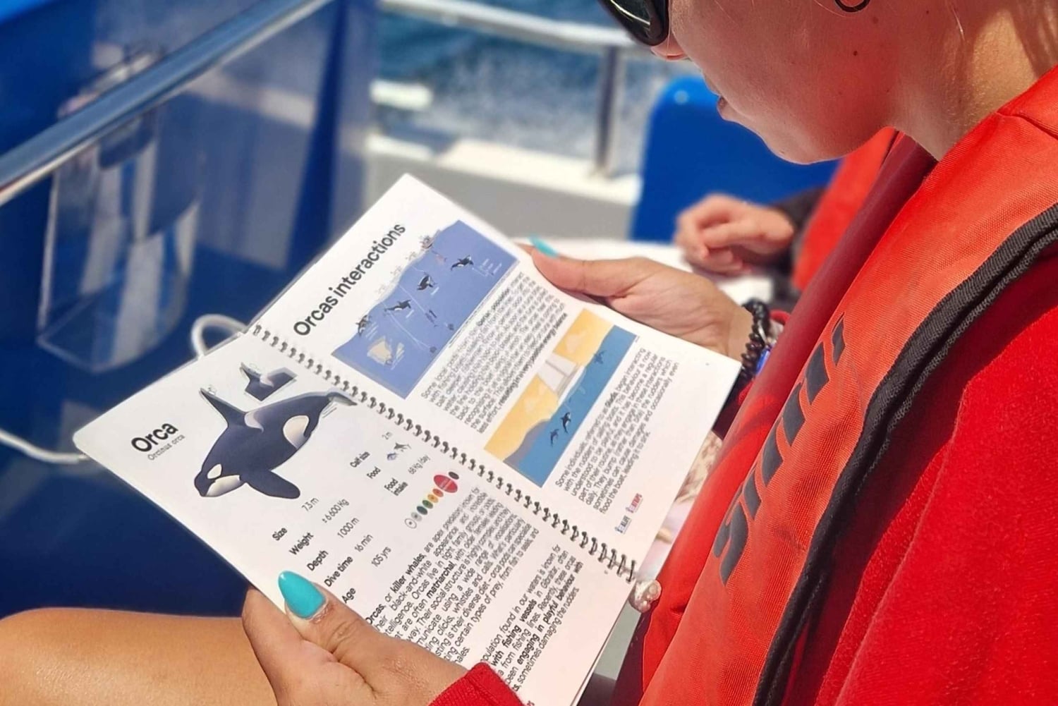 Nowe Lagos: 3-godzinna wyprawa z biologami morskimi