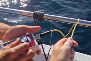 Nowe Lagos: 3-godzinna wyprawa z biologami morskimi