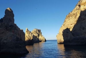 Dolphin Watching and Local Caves