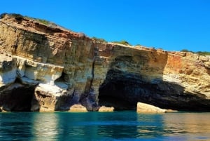 Dolphin Watching and Local Caves