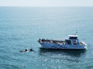 Ocean Quest Algarve