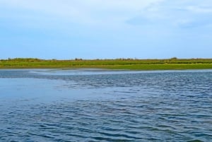 Olhão: Excursão de Barco de 3 Horas Ria Formosa