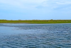 Olhão: tour en barco de 3 horas por la Ría Formosa