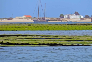 Olhão: tour en barco de 3 horas por la Ría Formosa