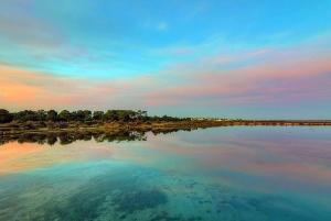 Olhão: 3-Hour Ria Formosa Boat Tour