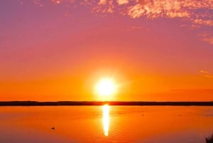 Olhão: 3-Hour Ria Formosa Boat Tour