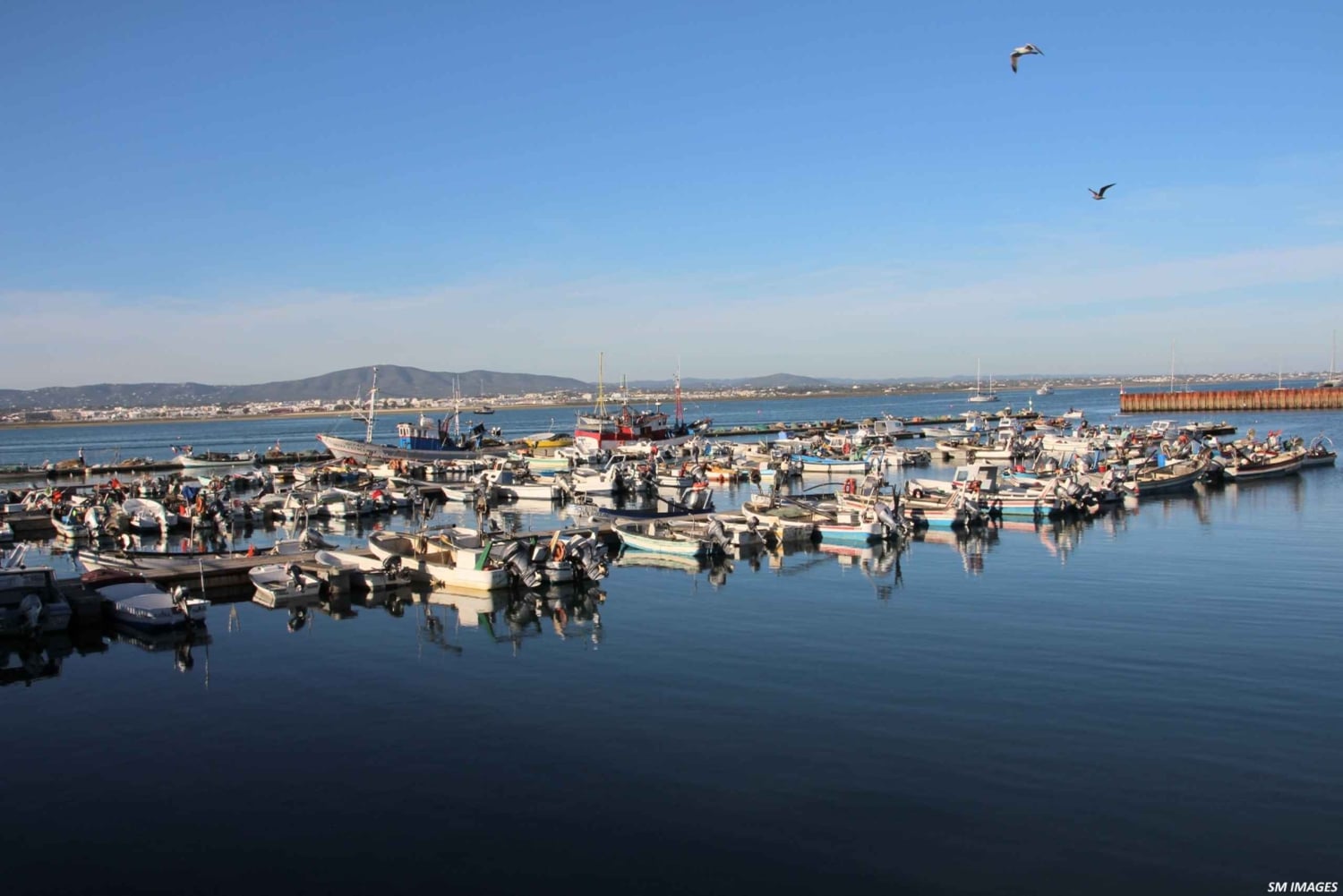 オルハン：3島ガイド付き観光ツアー（昼食付き