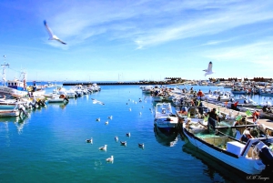 オルハン：3島ガイド付き観光ツアー（昼食付き