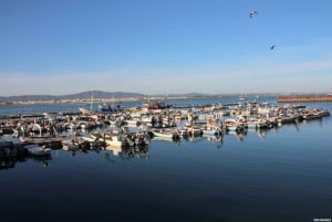 Olhão: 3 Islands Tour with Local Guide & Traditional Lunch