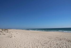 Olhão: 3 Islands Tour with Local Guide & Traditional Lunch