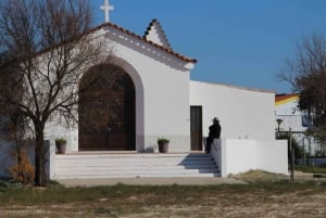 Olhão: 3 Islands Tour with Local Guide & Traditional Lunch