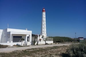 Olhão: 3 Islands Tour with Local Guide & Traditional Lunch