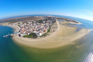 Olhão: 4-Hour Ria Formosa Islands Tour