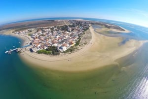 Olhão: 4-Hour Ria Formosa Islands Tour