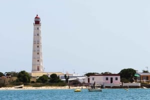 Olhão: 4-Hour Ria Formosa Islands Tour