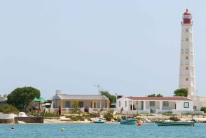 Olhão: 4-Hour Ria Formosa Islands Tour