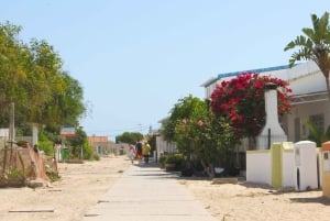 Olhão: 4-Hour Ria Formosa Islands Tour