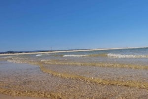 Olhão:5h ride 3 stops on the beaches and islands Ria Formosa
