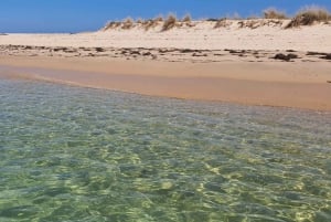 Olhão:5h ride 3 stops on the beaches and islands Ria Formosa