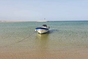 Olhão:5h ride 3 stops on the beaches and islands Ria Formosa