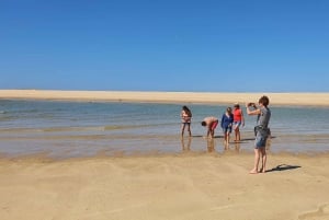 Olhão:5h de viaje 3 paradas en las playas e islas Ria Formosa