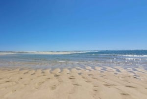Olhão:5h de viaje 3 paradas en las playas e islas Ria Formosa