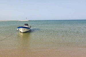 Olhão:5h de viaje 3 paradas en las playas e islas Ria Formosa