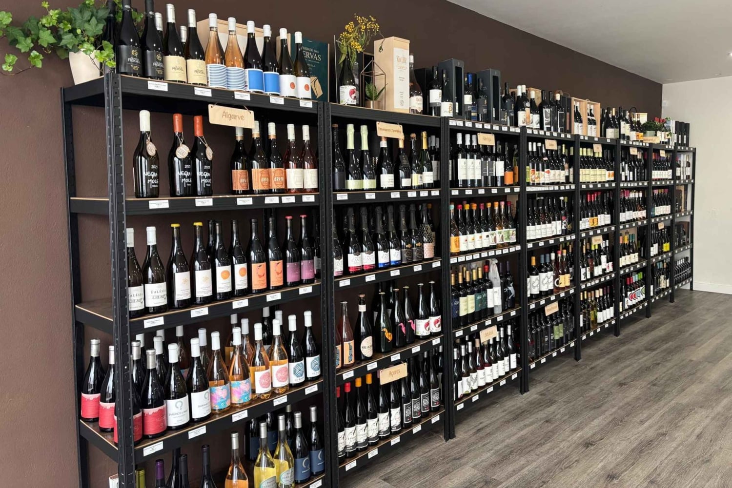 Olhão: Vinsmagning i Algarve