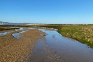 Olhão: Formosa Rota Exclusiva: Aluguer Privado de Barco com Skipper