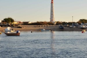 Olhão: Formosa Rota Exclusiva: Aluguer Privado de Barco com Skipper