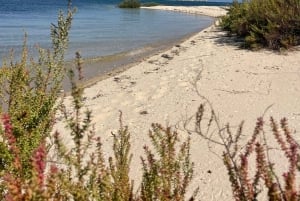 Olhão: Formosa Rota Exclusiva: Aluguer Privado de Barco com Skipper