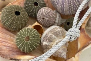 Olhão: Formosa Rota Exclusiva: Aluguer Privado de Barco com Skipper