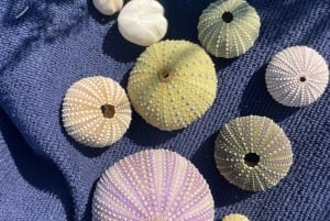 Olhão: Formosa Rota Exclusiva: Aluguer Privado de Barco com Skipper