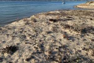 Olhão: Formosa Rota Exclusiva: Aluguer Privado de Barco com Skipper