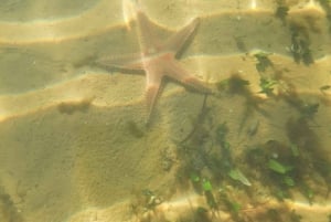 Olhão: Formosa Rota Exclusiva: Aluguer Privado de Barco com Skipper