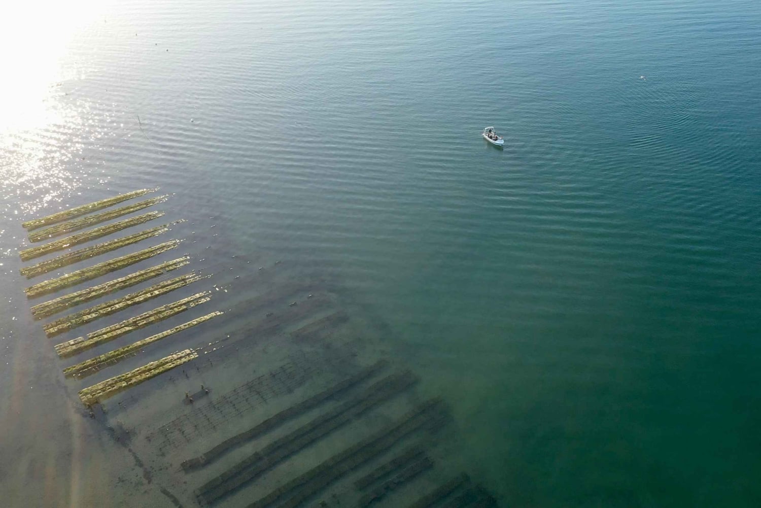 Olhão: Formosa Rota 2H