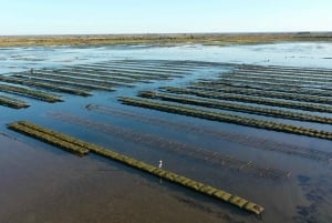 Olhão: Formosa Rota 2H