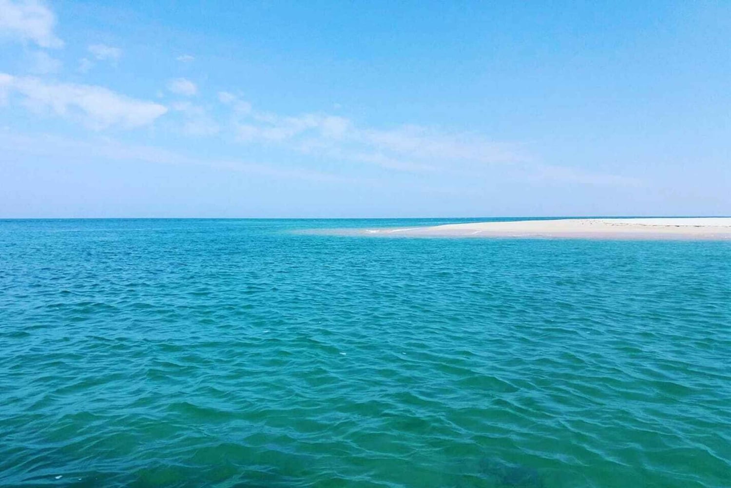 Olhão: Private Bootstour zur Ria Formosa