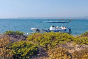 Olhão: Private Boat Tour to Ria Formosa