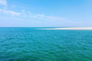 Olhão: tour privato in barca a Ria Formosa