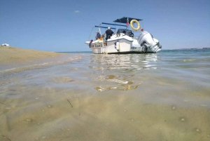 Olhão: Passeio de Barco Privado à Ria Formosa