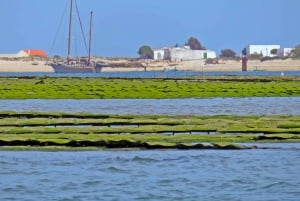 Olhão: tour privato in barca a Ria Formosa