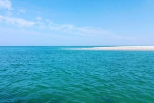 Olhão: Private Bootstour zur Ria Formosa