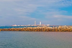 Olhão: Private Bootstour zur Ria Formosa