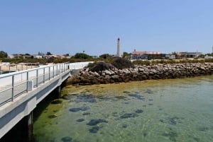 Olhão: Private Bootstour zur Ria Formosa