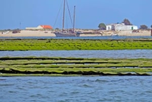 Olhão: Private Bootstour zur Ria Formosa