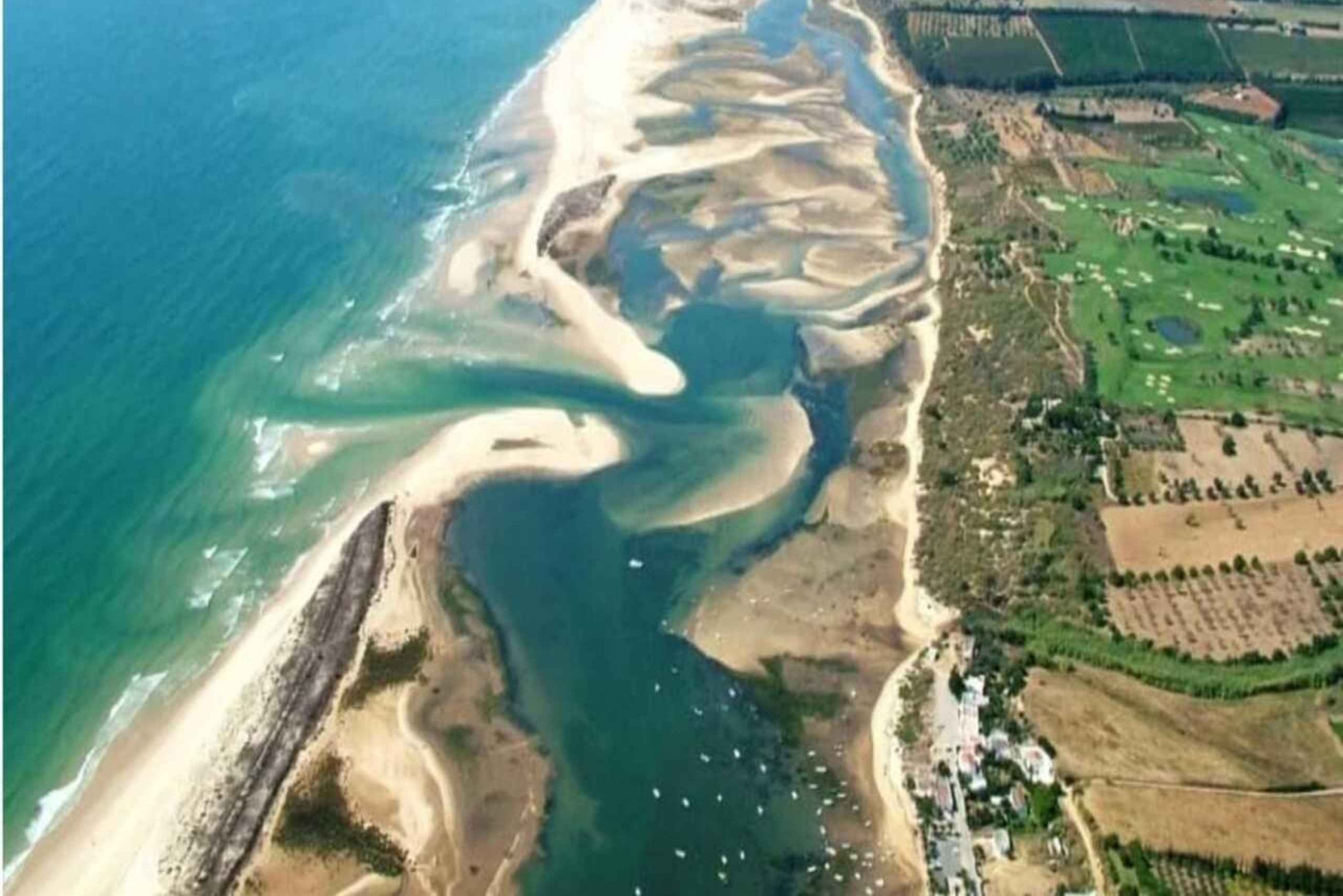 Olhão: Ria Formosa 3 Islands Guided Day Trip by Boat