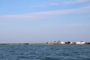 Olhão: Ria Formosa 3 Islands Guided Day Trip by Boat